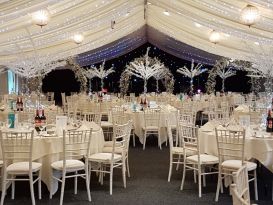 coombe crystal trees1