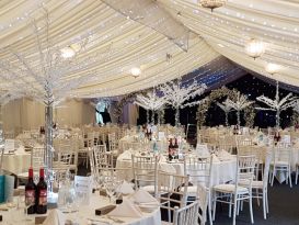 coombe crystal trees3